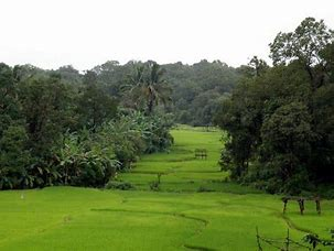 Wildlife in Anshi National Park